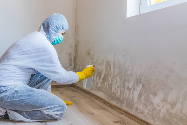 Crawl Space Mold Removal in Johnson Creek, WI