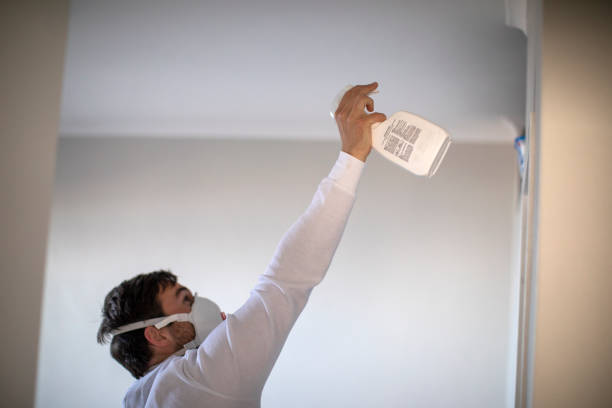 Best Attic Mold Removal  in Johnson Creek, WI