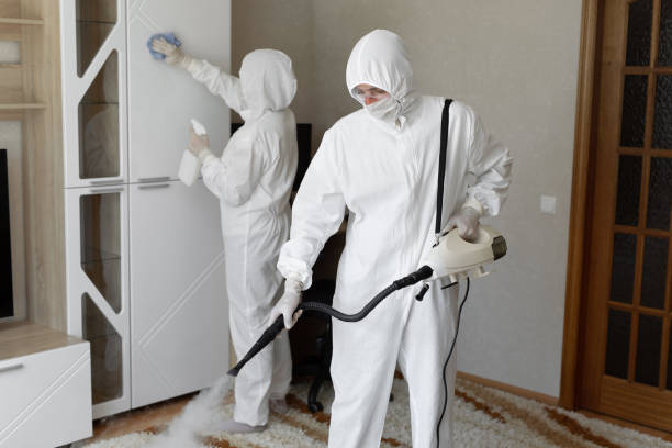 Best Office Mold Removal Services  in Johnson Creek, WI