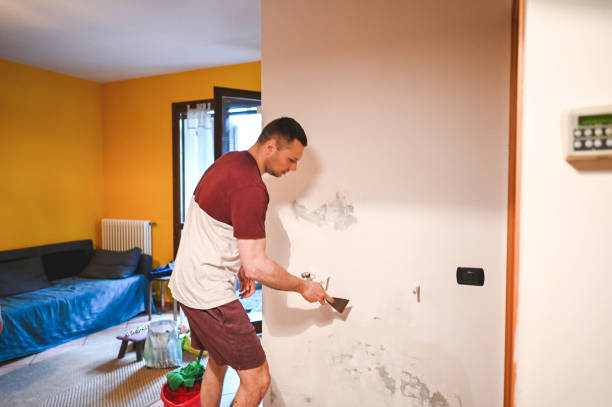 Best Emergency Mold Removal  in Johnson Creek, WI