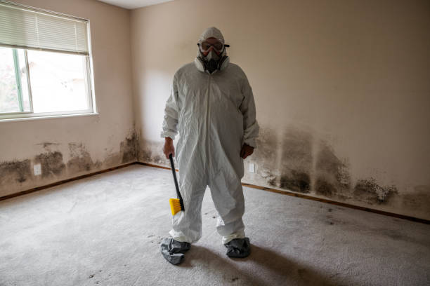 Best Professional Mold Removal  in Johnson Creek, WI